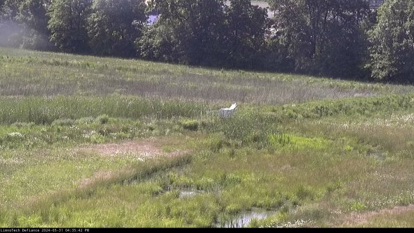 Cell 2 to 3_24-05-31_16-35-43-39