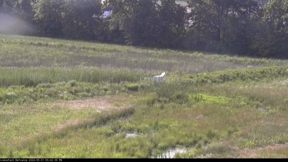 Cell 2 to 3_24-05-31_17-42-39-46