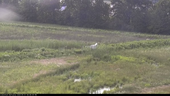 Cell 2 to 3_24-05-31_18-49-39-53