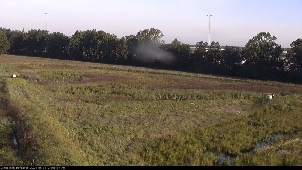 Cell 2_24-05-31_07-06-08-37