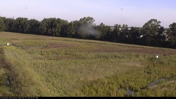 Cell 2_24-05-31_07-39-38-36