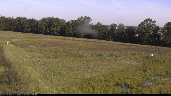 Cell 2_24-05-31_08-13-07-38