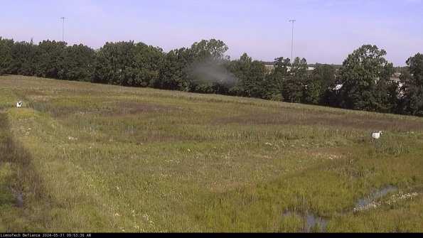 Cell 2_24-05-31_09-53-37-34