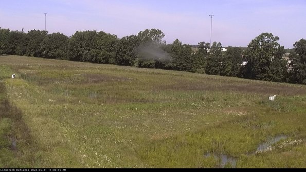 Cell 2_24-05-31_11-00-36-35