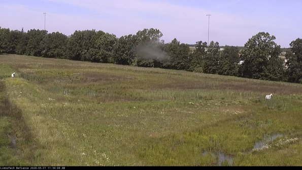 Cell 2_24-05-31_11-34-05-40