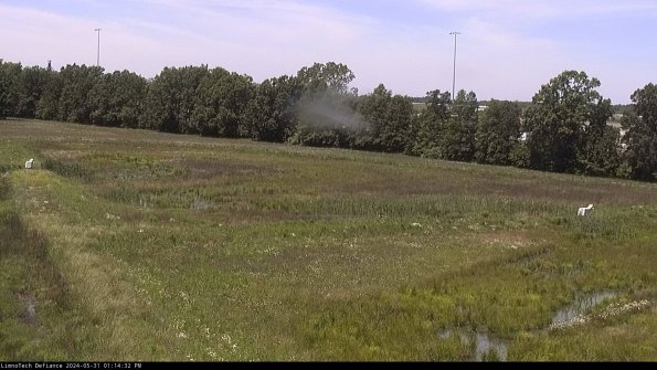 Cell 2_24-05-31_13-14-33-36