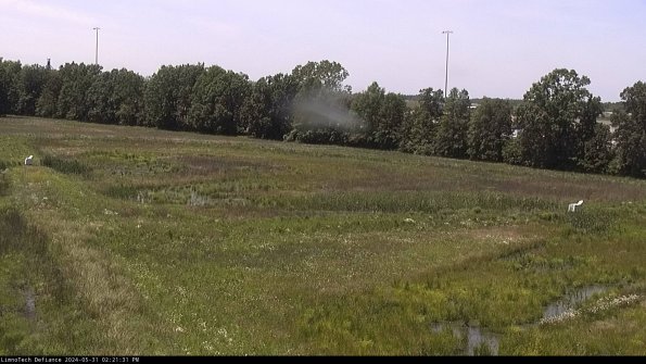 Cell 2_24-05-31_14-21-32-34