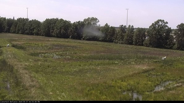 Cell 2_24-05-31_14-55-01-39