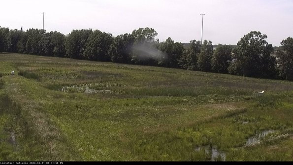 Cell 2_24-05-31_16-01-59-39