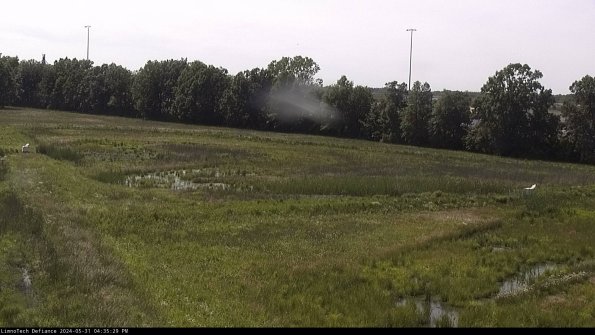 Cell 2_24-05-31_16-35-30-35