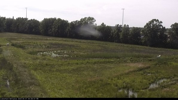 Cell 2_24-05-31_17-08-58-39