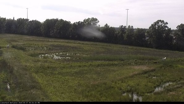 Cell 2_24-05-31_17-42-26-38