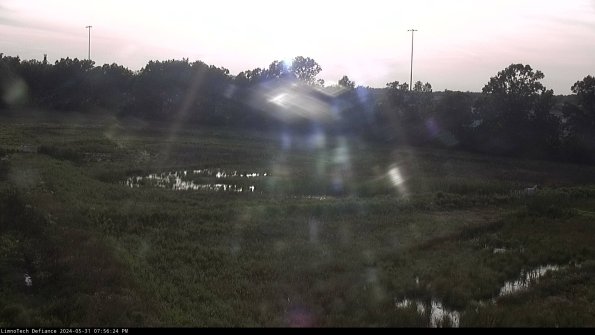 Cell 2_24-05-31_19-56-25-39