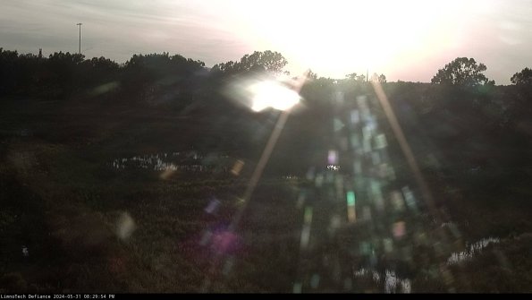 Cell 2_24-05-31_20-29-55-38