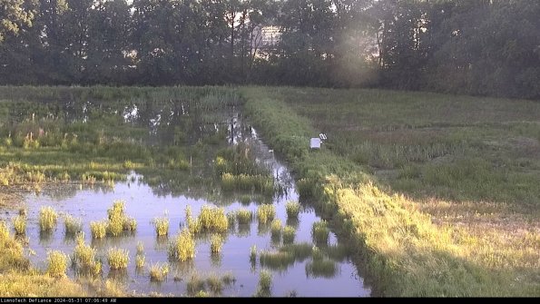 Cell 3 to 4_24-05-31_07-06-50-35