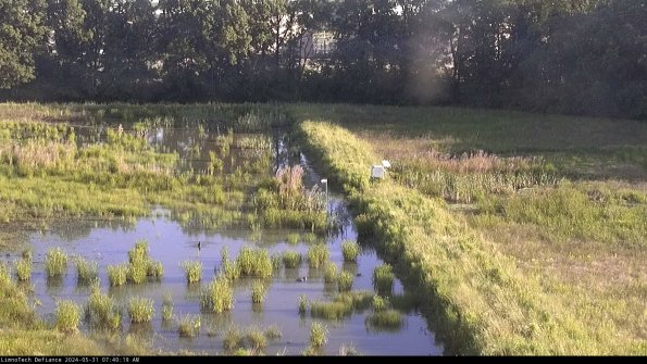 Cell 3 to 4_24-05-31_07-40-20-33