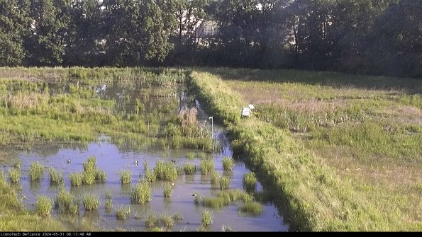 Cell 3 to 4_24-05-31_08-13-49-35