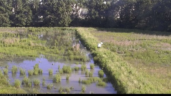 Cell 3 to 4_24-05-31_08-47-19-34