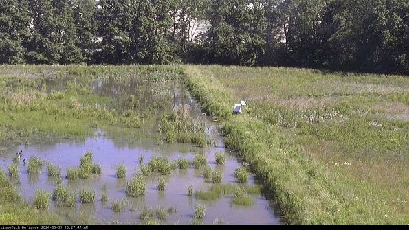 Cell 3 to 4_24-05-31_10-27-48-34