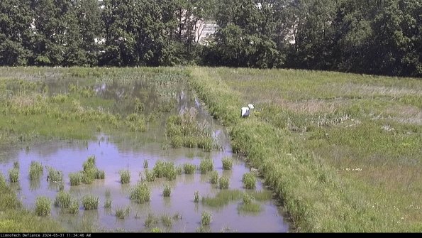 Cell 3 to 4_24-05-31_11-34-47-31