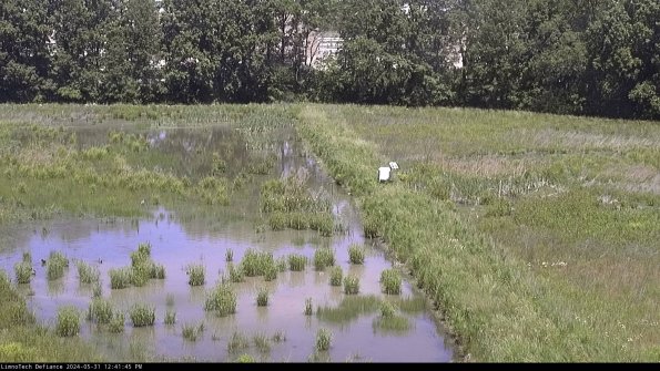 Cell 3 to 4_24-05-31_12-41-46-32