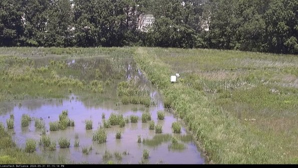 Cell 3 to 4_24-05-31_13-15-15-34