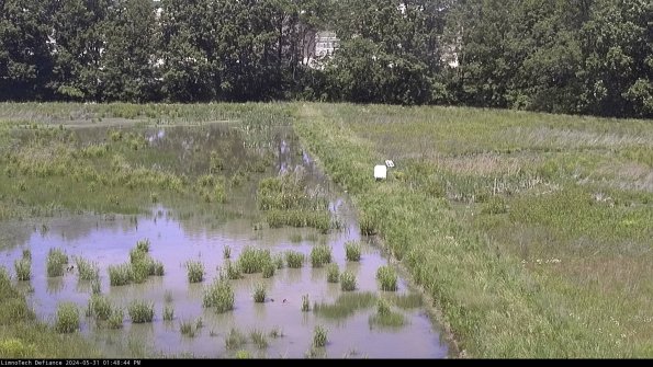 Cell 3 to 4_24-05-31_13-48-45-32