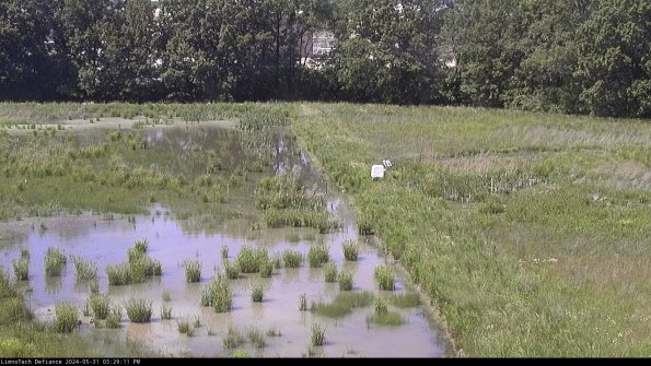 Cell 3 to 4_24-05-31_15-29-12-35