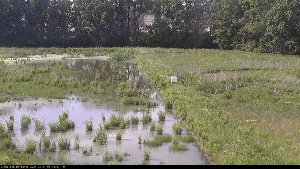 Cell 3 to 4_24-05-31_17-43-08-32