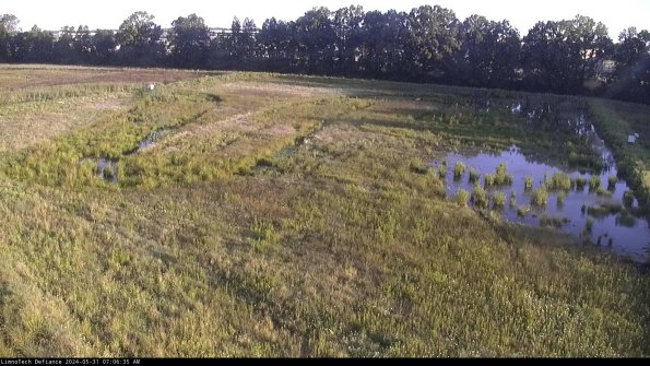 Cell 3_24-05-31_07-06-36-33