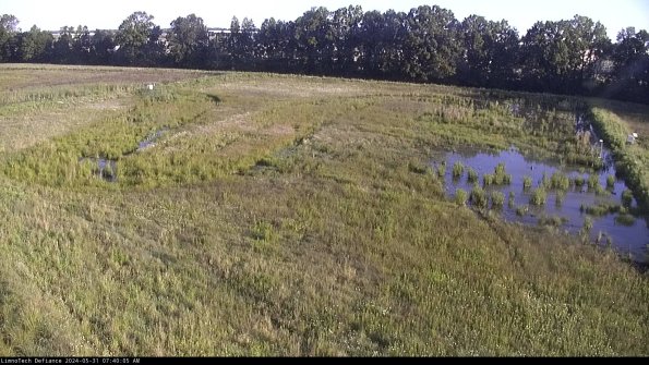 Cell 3_24-05-31_07-40-06-32