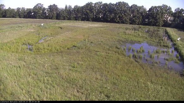 Cell 3_24-05-31_08-47-05-33