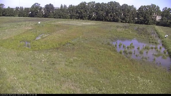 Cell 3_24-05-31_11-01-04-31