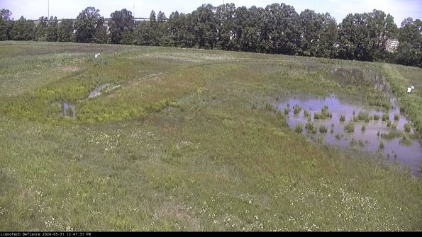 Cell 3_24-05-31_12-41-32-33