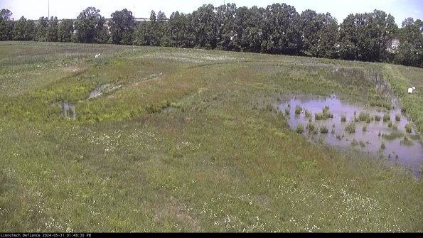 Cell 3_24-05-31_13-48-31-34