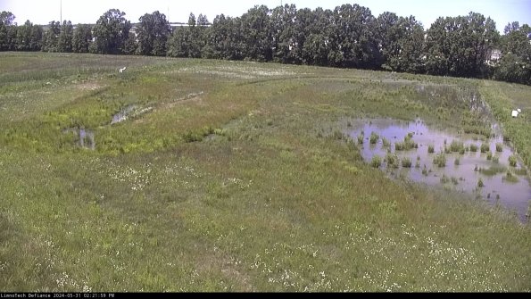 Cell 3_24-05-31_14-21-59-60