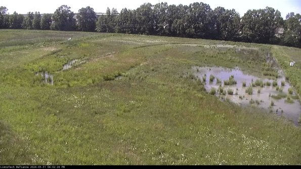 Cell 3_24-05-31_16-02-27-32