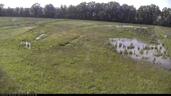 Cell 3_24-05-31_17-42-54-31