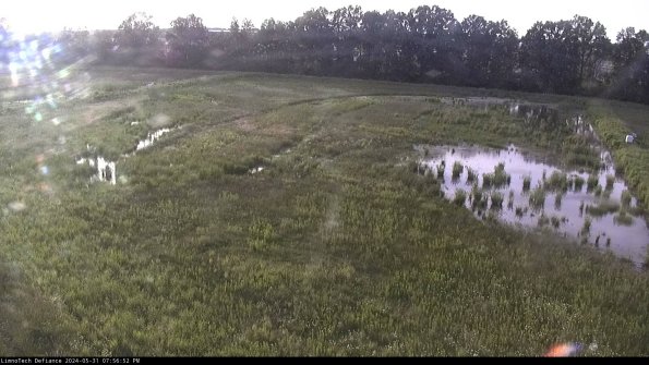 Cell 3_24-05-31_19-56-53-32