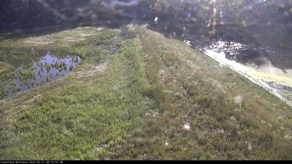 Cell 4 to Basin_24-05-31_08-14-33-36