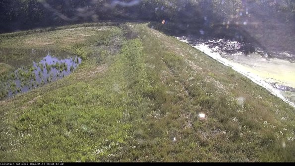 Cell 4 to Basin_24-05-31_08-48-03-32