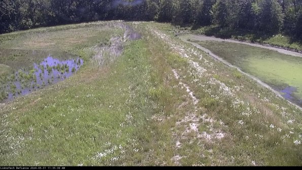 Cell 4 to Basin_24-05-31_11-35-31-32