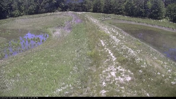 Cell 4 to Basin_24-05-31_13-49-29-34