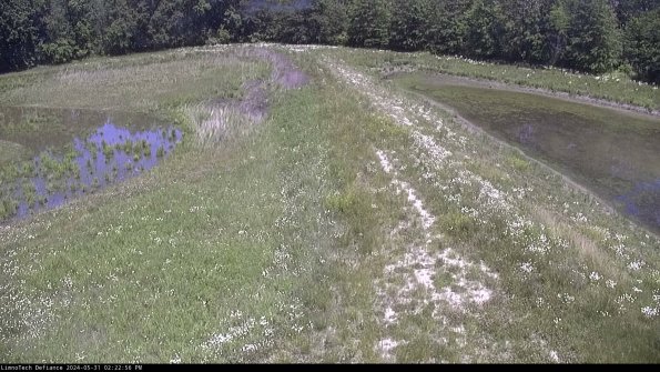 Cell 4 to Basin_24-05-31_14-22-57-32