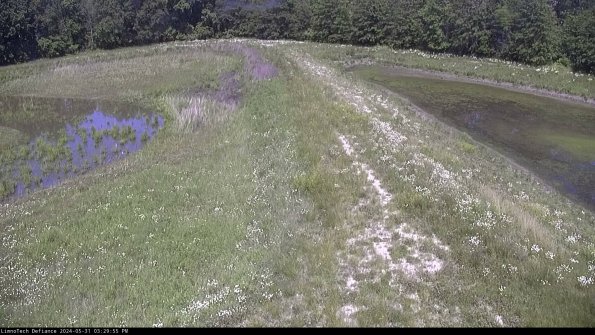 Cell 4 to Basin_24-05-31_15-29-56-33