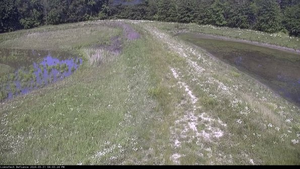 Cell 4 to Basin_24-05-31_16-03-25-38