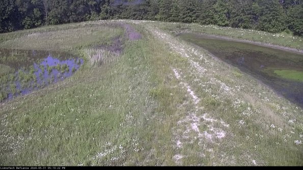 Cell 4 to Basin_24-05-31_17-10-23-35