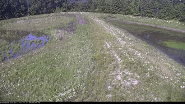 Cell 4 to Basin_24-05-31_17-43-52-33