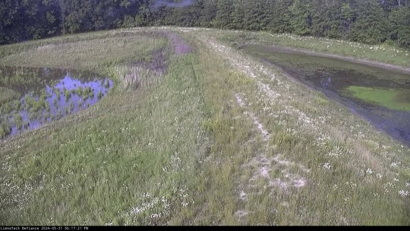 Cell 4 to Basin_24-05-31_18-17-22-35