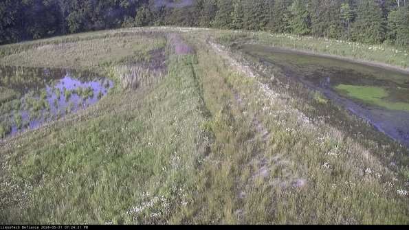 Cell 4 to Basin_24-05-31_19-24-22-33